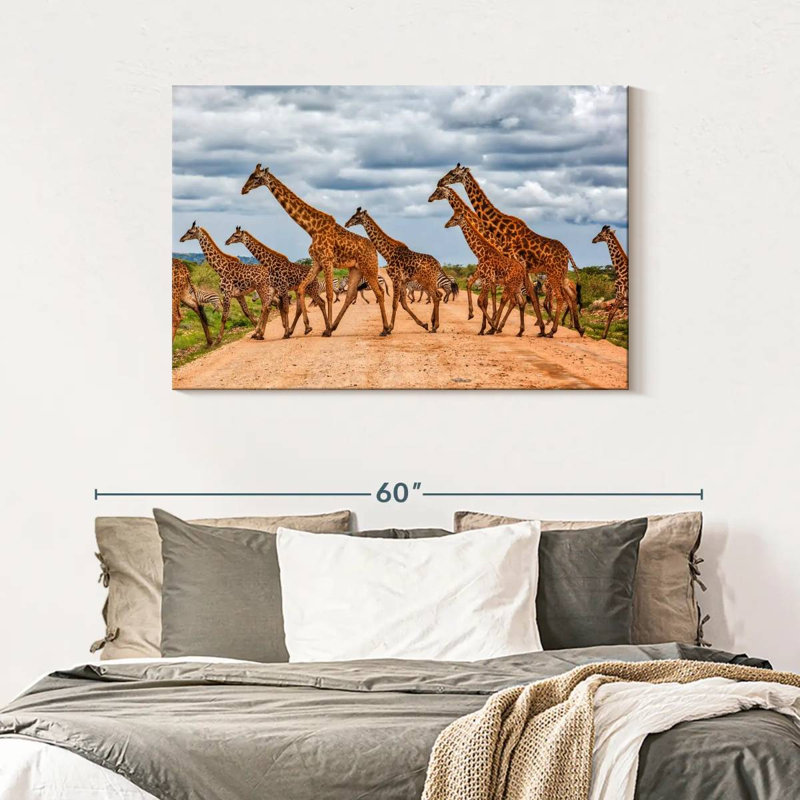 Brampt Giraffes Safari Animals