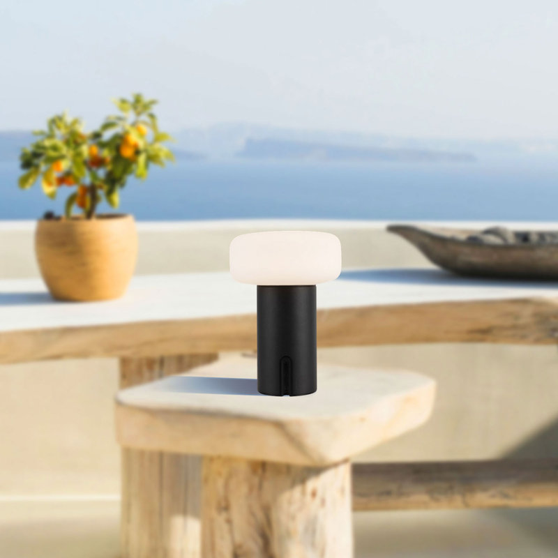 Lampe portable d'extérieur à DEL 8 po Shilo, Matte Black