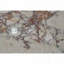 Table d'appoint hexagonale en marbre naturel rose - 6,3 po x 15,7 po-1969577116