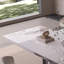 Table et chaise de luxe Deluxe Sense Simple Light-109326383-109326384