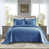 Bleu moyen