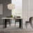 Nouria Metal Base Dining Table