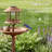 Bird Bath-1353438700