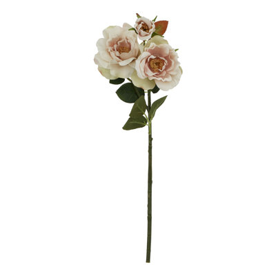Arrangement