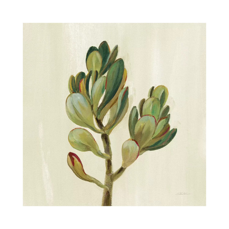 Front Yard Succulent II by Silvia Vassileva - Gallery-Wrapped Canvas Giclée on Canvas, Canvas, 30.48 cm H x 30.48 cm W