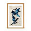 Nature Inspired Blue Birds-1086047318