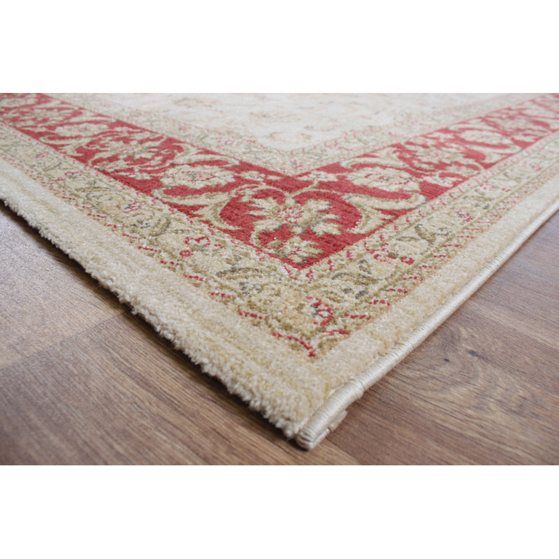 Aguilar Oriental Area Rug, Rectangle 160 x 230cm