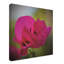 « fuchsia », reproduction d’impression sur toile tendue-31976155