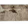 Kelson Abstract Indoor Rug