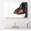 Dachshund Dog - Wrapped Canvas Painting-55342786