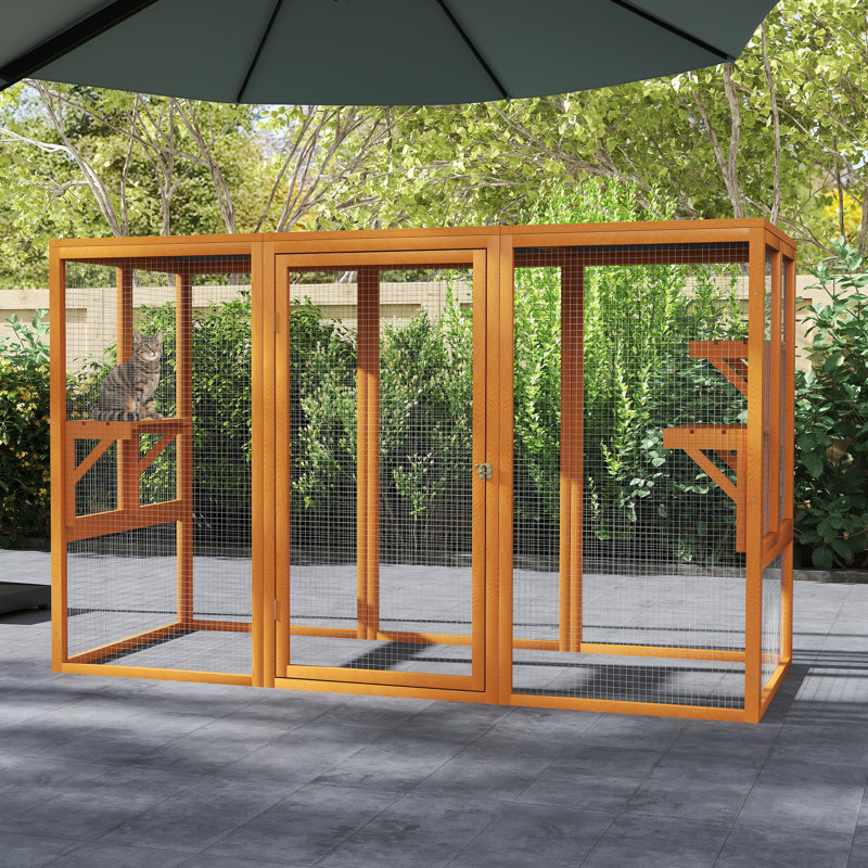 Cat Cage, Orange