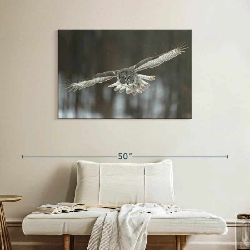 Brampt Flying Great Gray Owl, 26" H x 39" W