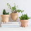 Cute Pots Pot Planter