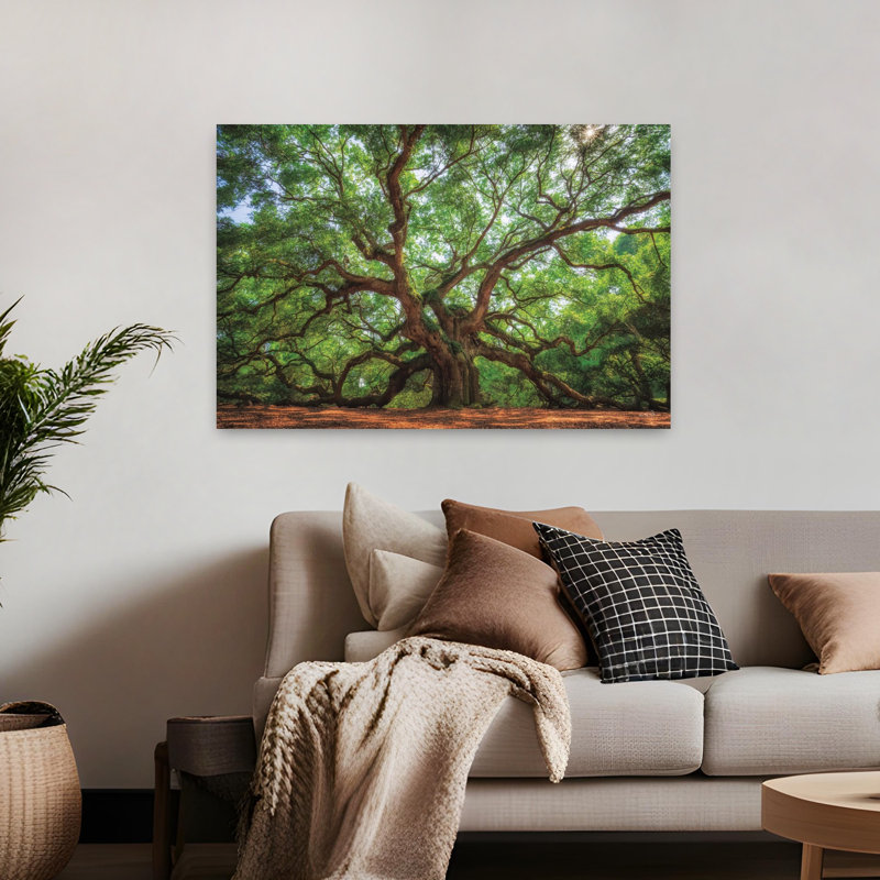 Ange chêne à Charleston, art contemporain de chêne, paysage naturel, H 32 po x l 48 po