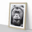 Orangutan - Picture Frame Graphic Art Print-55733783-55733788
