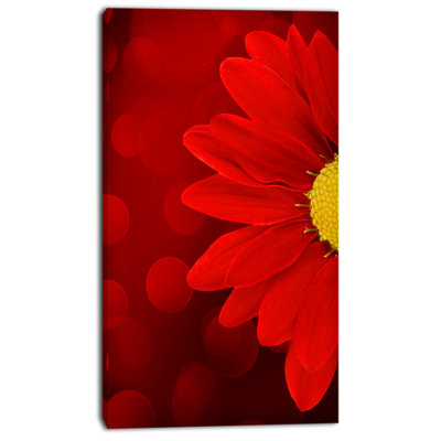 " Red Flower With Lit-up Background "