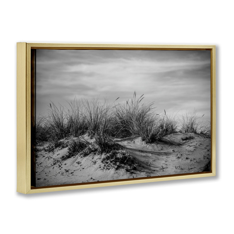  Toile flottante «Point Reyes Beach Dunes» par Crystal Lynn Collins, H 21 po x l 31 po, Cadre flottant métallique doré