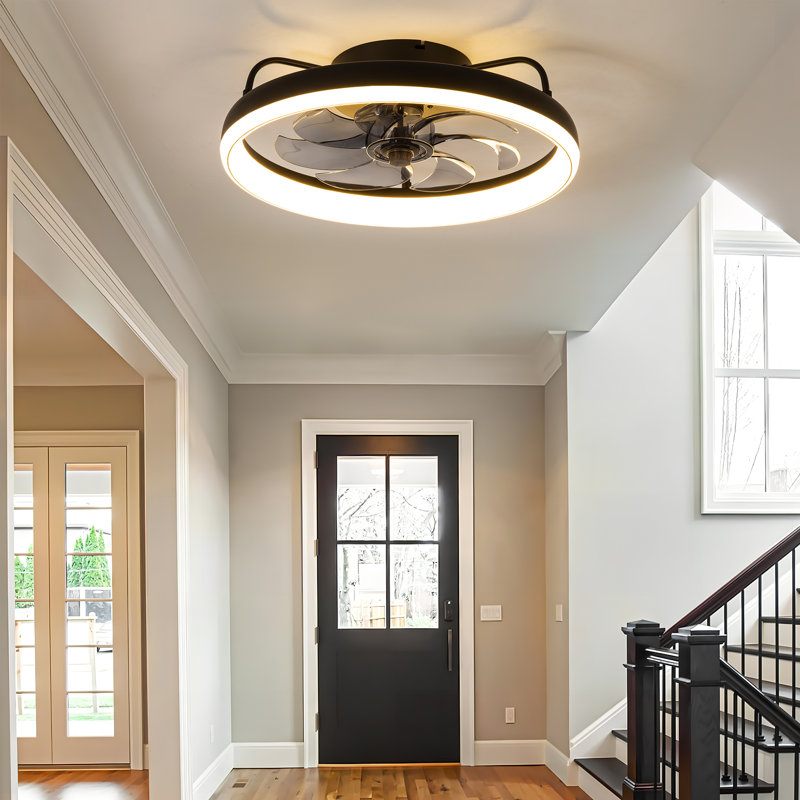 Jhonni 19" Ceiling Fans With Light Kit And Remote Control, Black