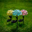 Solar Powered LED Metal Flower Garden Stake Light-40271979