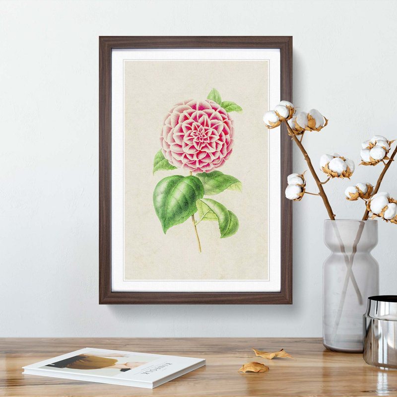 Pink Camellia Flower Illustration - Framed Print, 36cm H x 27cm W x 2cm D, Walnut Framed