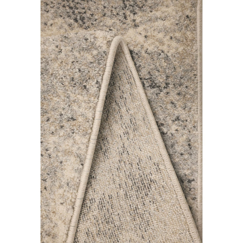 Shianne Oriental Area Rug, Rectangle 120 x 170cm