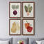 Toile encadrée organique Premium Veg IX - prête à être accrochée-992978419-992978416