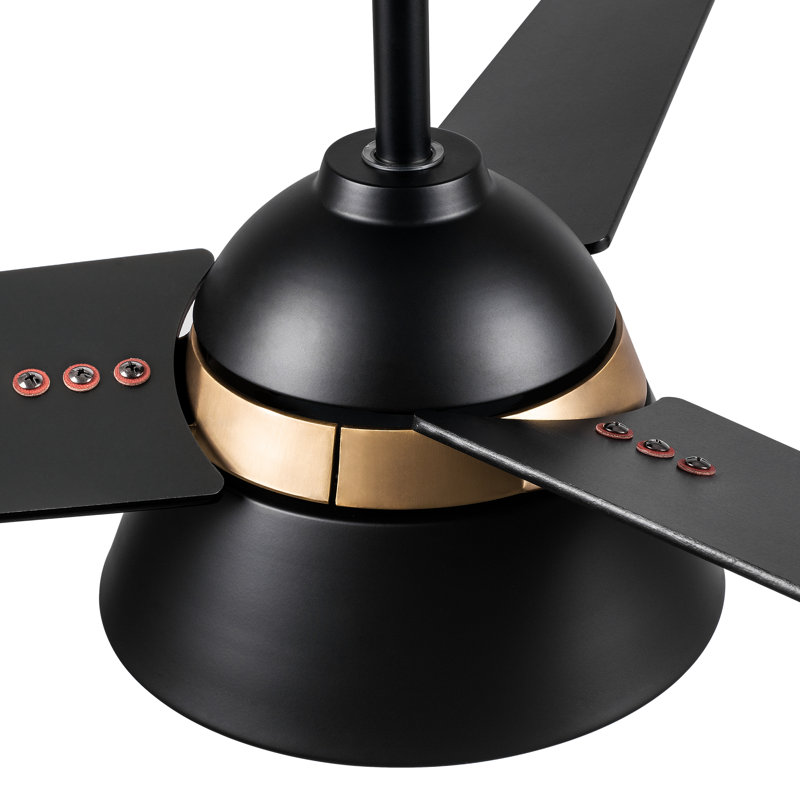 Ventilateur de plafond 48 po avec télécommande, ensemble d'éclairage inclus, Noir