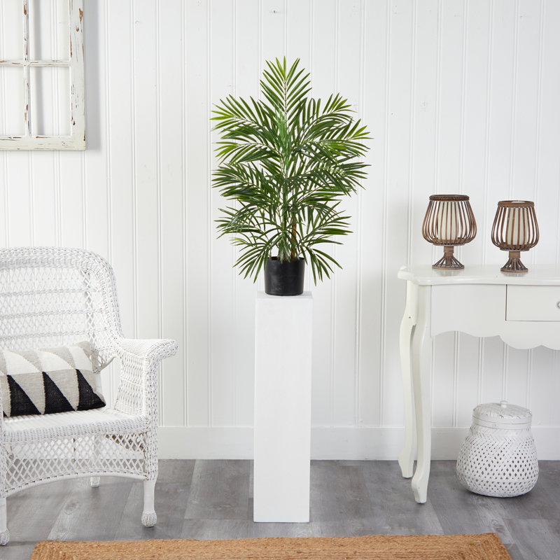 Areca Palm Tree in Pot, 30" H x 24" W x 24" D