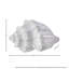 Coquillage Anazagene «Fabric Weave»