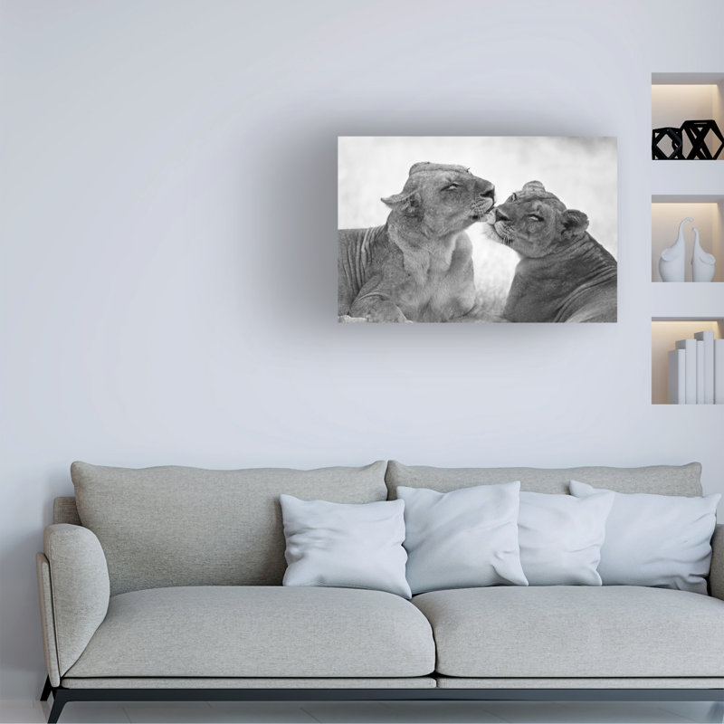 Art sur toile, lions boliviens, Marco Pozzi, H 16 po x l 24 po