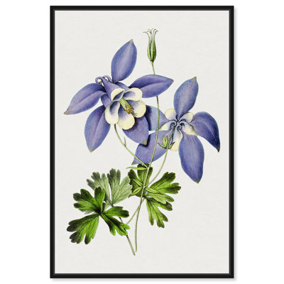 «Lilac Blue», impressions botaniques sur toile par Art Remedy