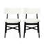 Ensemble de chaises Mid-Century modernes (ensemble de 2)-1343075375