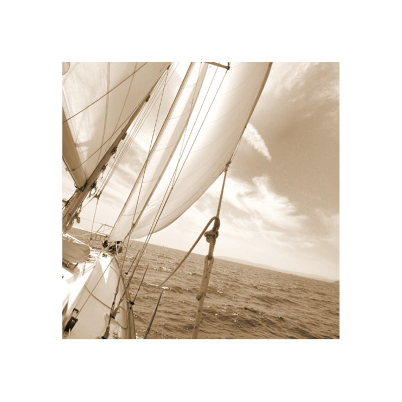 Nautical Guide Print by Sofia Fox, Outdoor, 15" H x 15" W