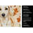 Cream Dachshund Heirloom Fall Kitchen Towel-1218231348