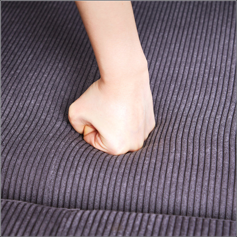 66 Inch Sleeper Sofa Bed, Gray