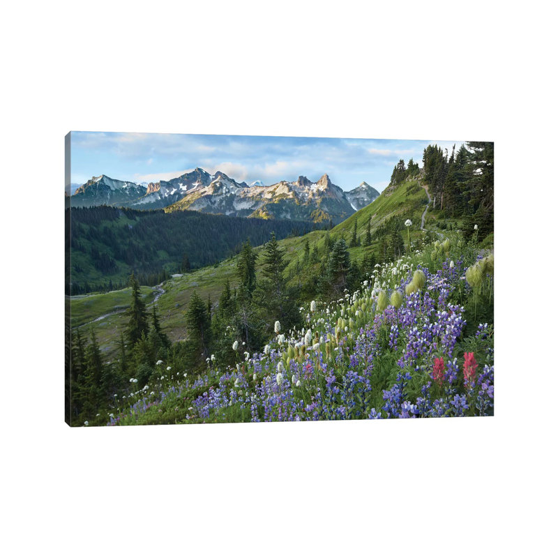 Wildflowers And Tatoosh Range, Mount Rainier National Park, Washington by Tim Fitzharris - Wrapped Canvas Print