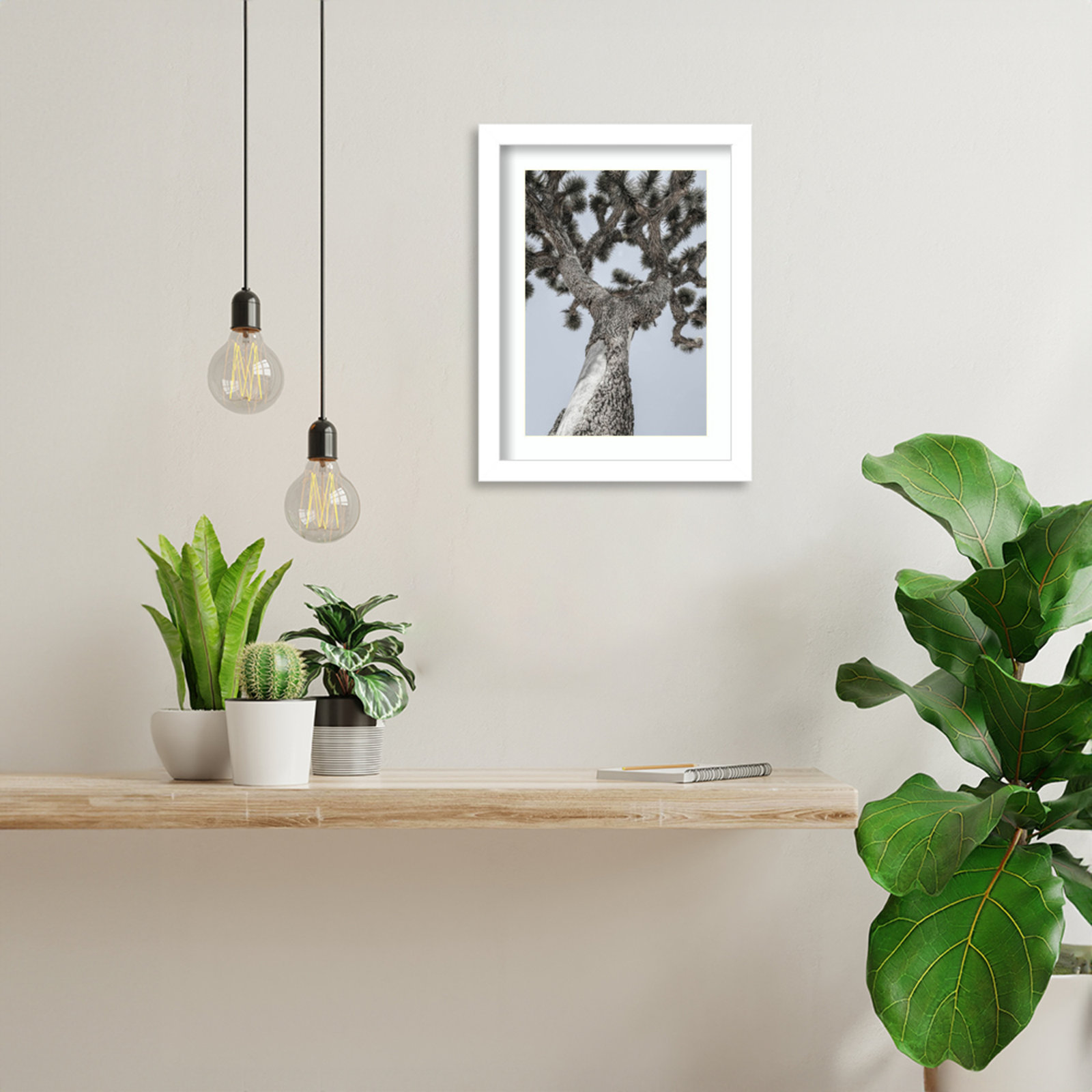 Daisey "Joshua" Print by Shot by Clint, White , 13" H x 10" W