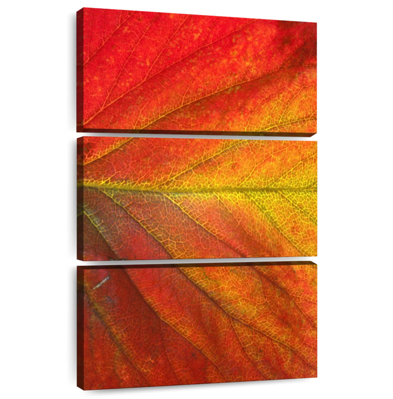 Harnek Autumn Strawberry Leaf