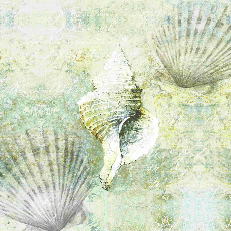 Coquillage, H 12 po x l 12 po