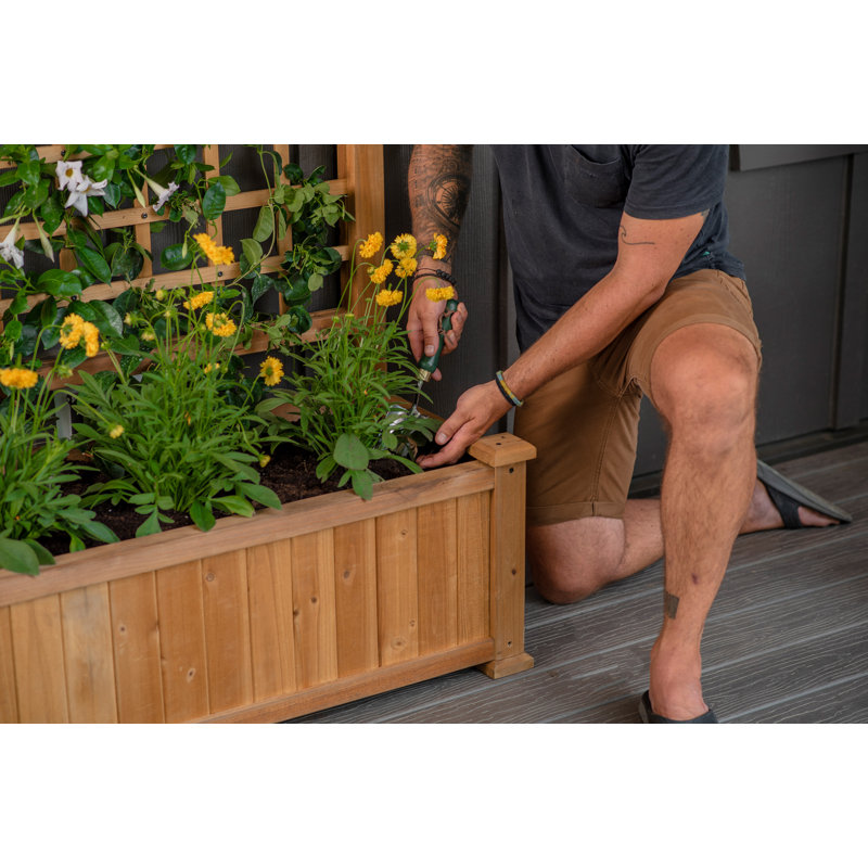 Golden Brown Cedar Wood Planter with Trellis