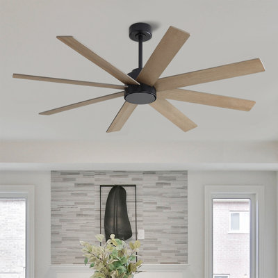 8-Plywood Blades Indoor Ceiling Fan With Remote