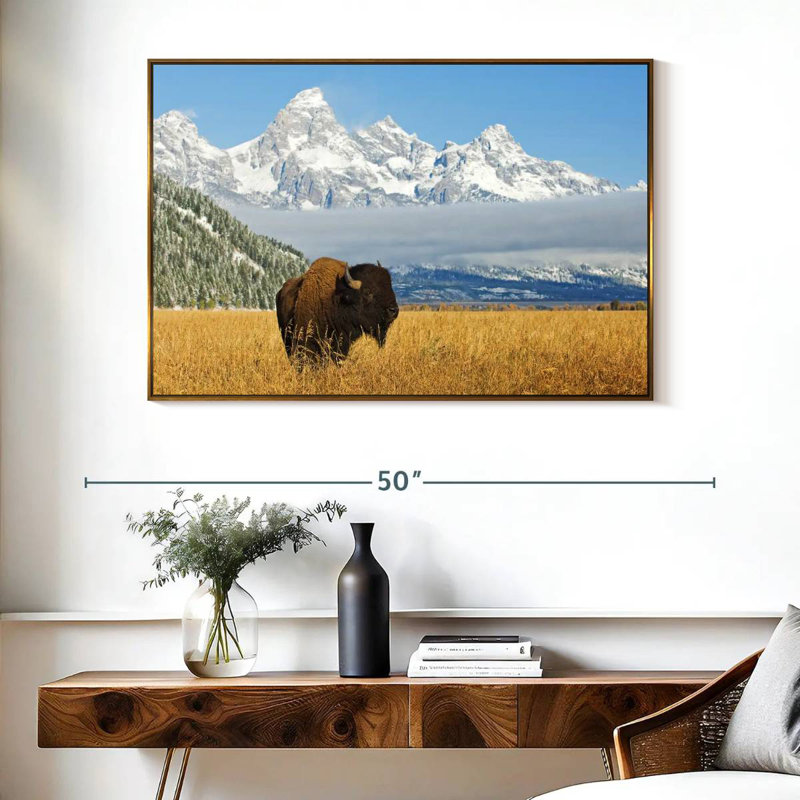 Grand Teton Bison Bull, Cadre flottant doré, 40 po x 27 po