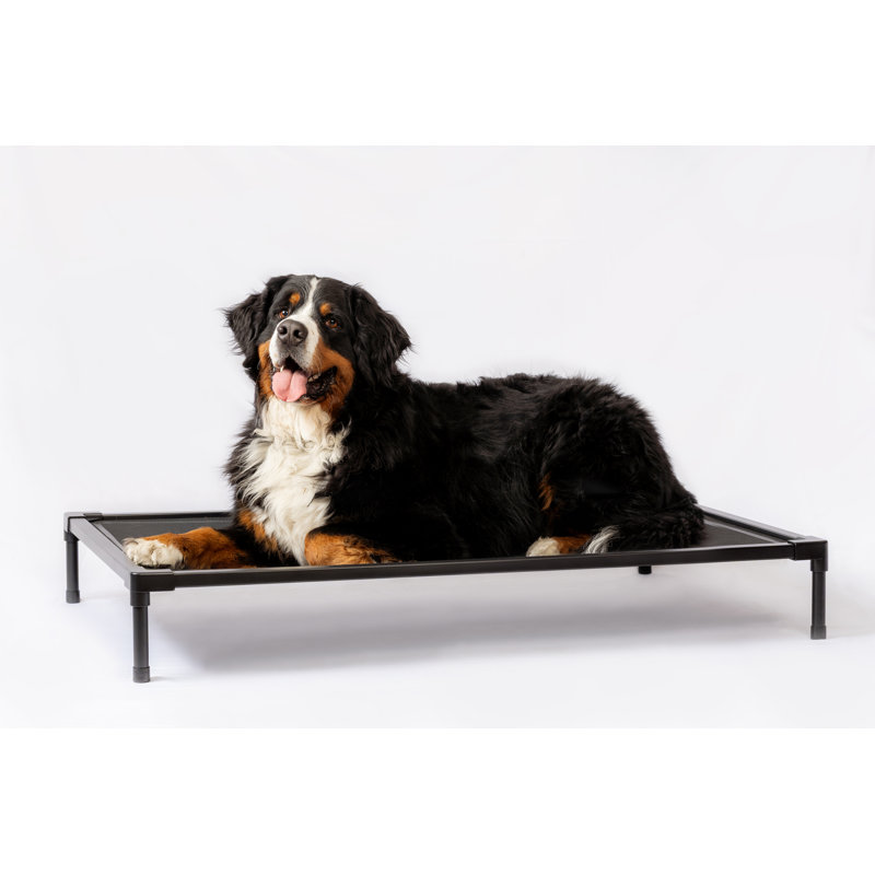 Cooling Elevated Dog Bed, 7" H x 32.75" W x 49.25" D