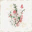 " French Romance III " by Katie Pertiet-20828167-73083907-73083912