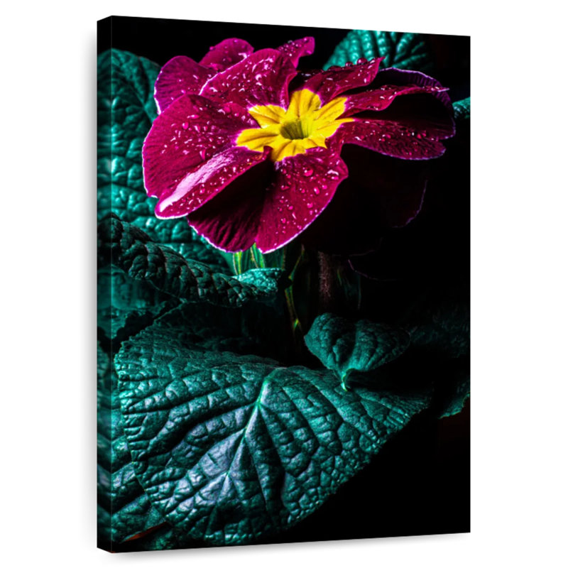 Harnek Primula Flower, 48" H x 32" W
