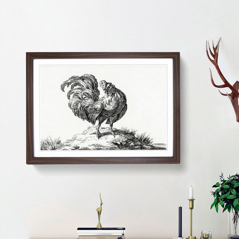 Sketch of a Rooster by Jean Bernard - Picture Frame Drawing Print, Walnut Framed, 27cm H x 36cm W x 2cm D
