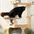 Simple Style Solid Wood Cat Tree