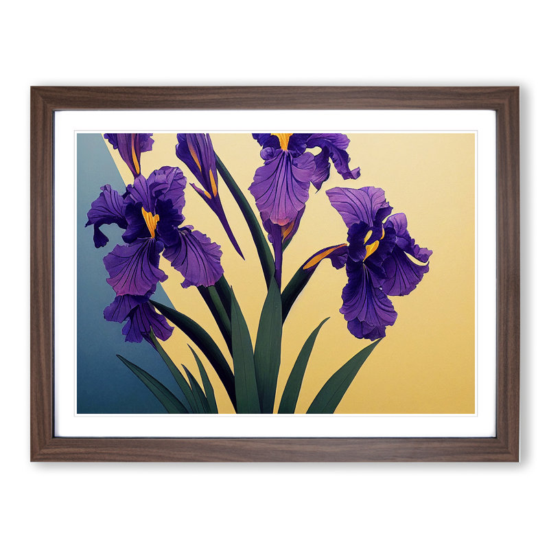 Dazzling Iris Flowers - Framed Print, 34cm H x 46cm W x 2cm D, Walnut Framed