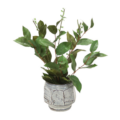 20 " H Faux Herbs Plant in Porcelain Decorative Vase