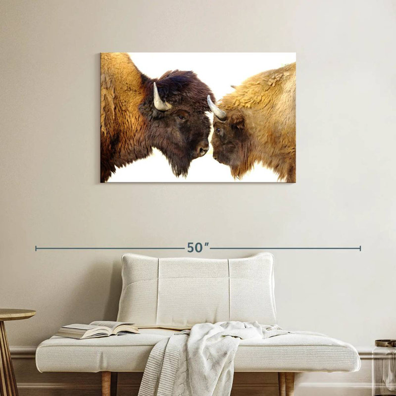 Brampt Bisons I, 24" H x 36" W